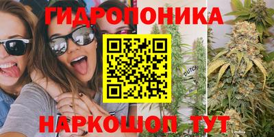 таблы Камышлов