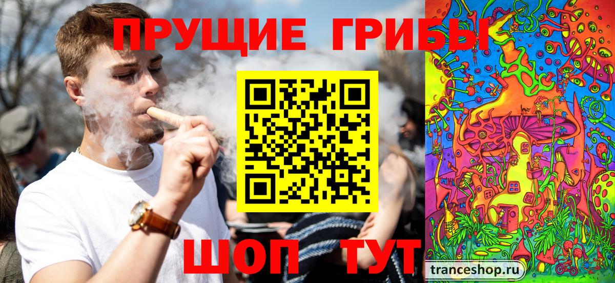 Галлюциногенные грибы Psilocybine cubensis Хабаровск